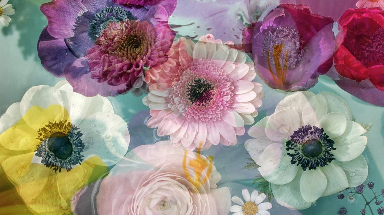 Specific Flower Essence Therapy